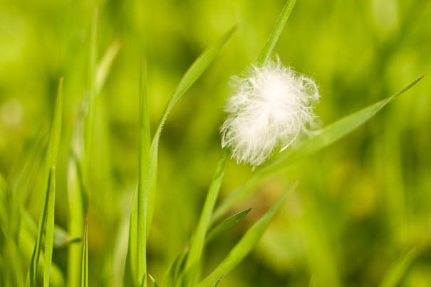 spring-emailtray-email-clients-updates Spring Updates: All Fresh and New EmailTray Features